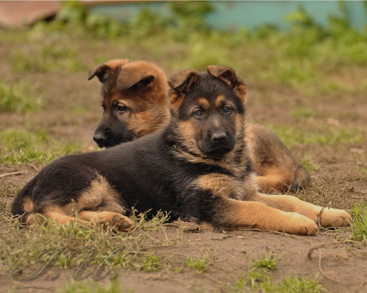 DSC_0018.JPG