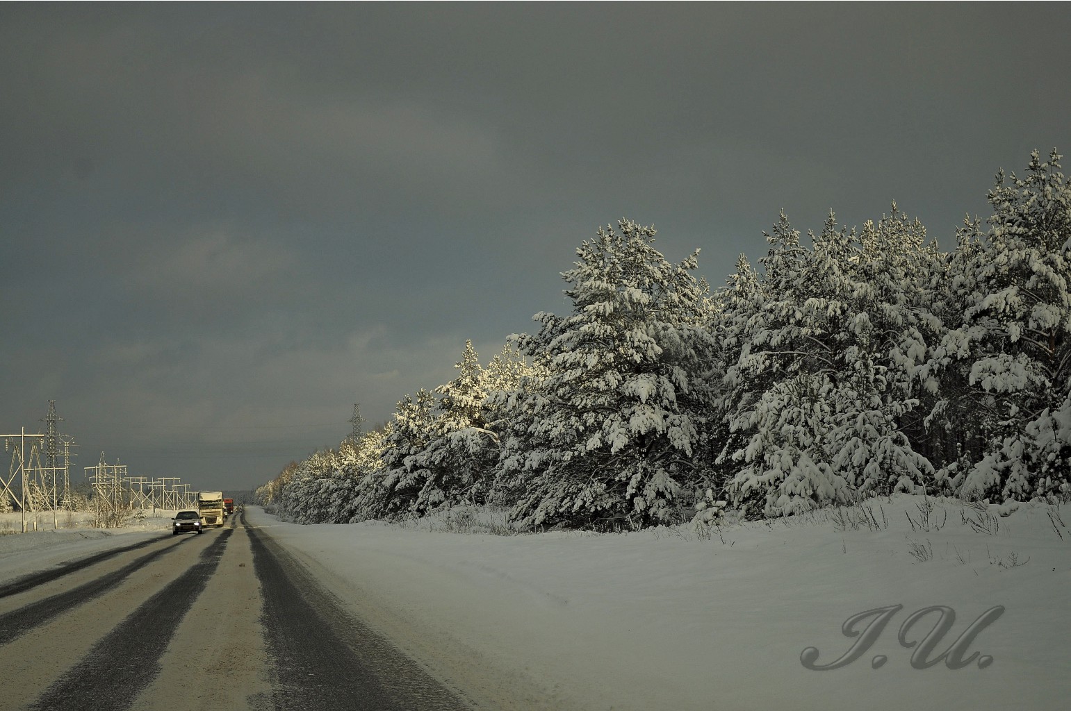 DSC_1462.jpg