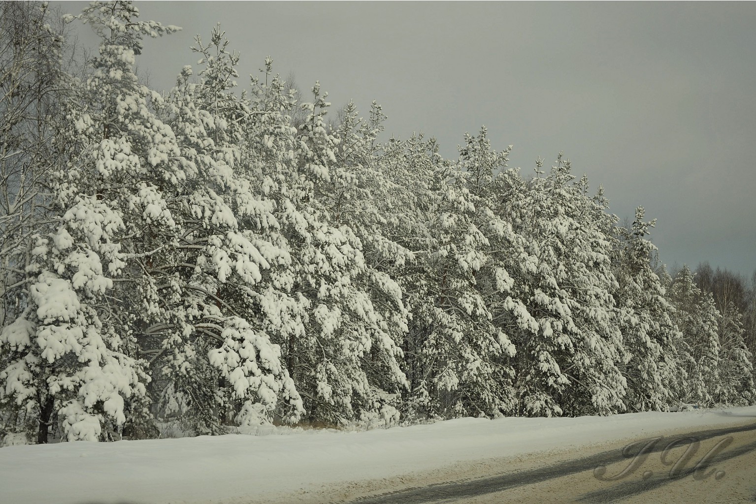 DSC_1458.jpg