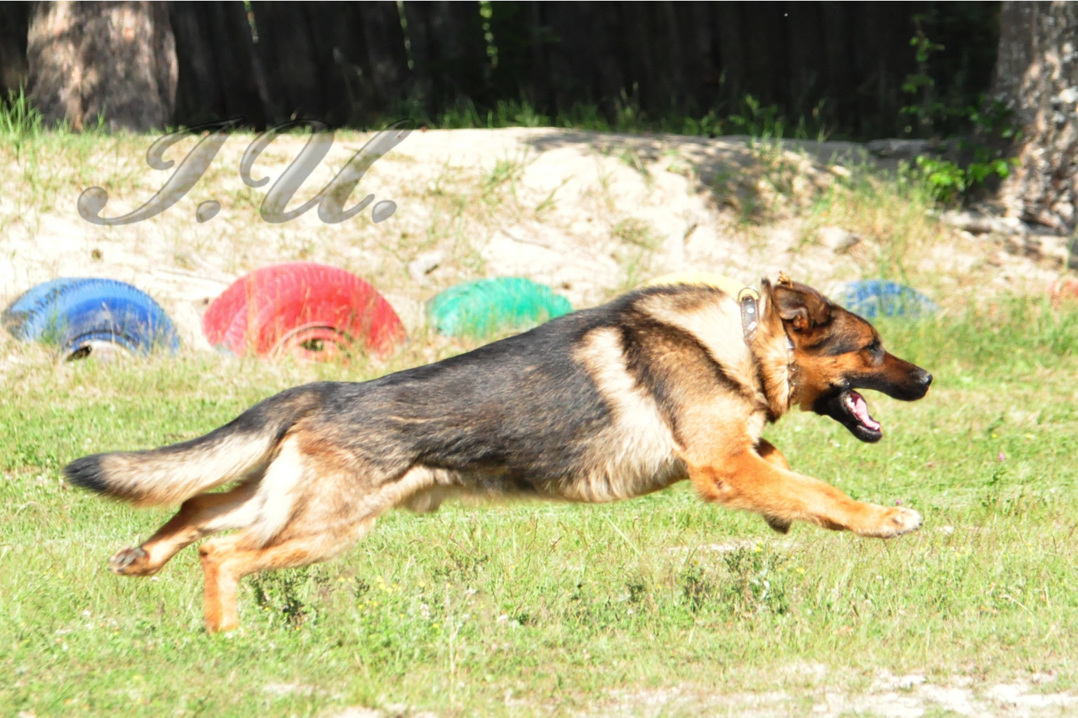 DSC_0016.JPG