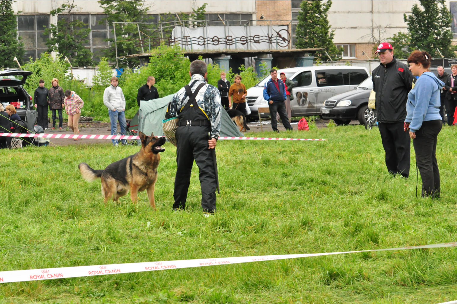 DSC_0264.JPG