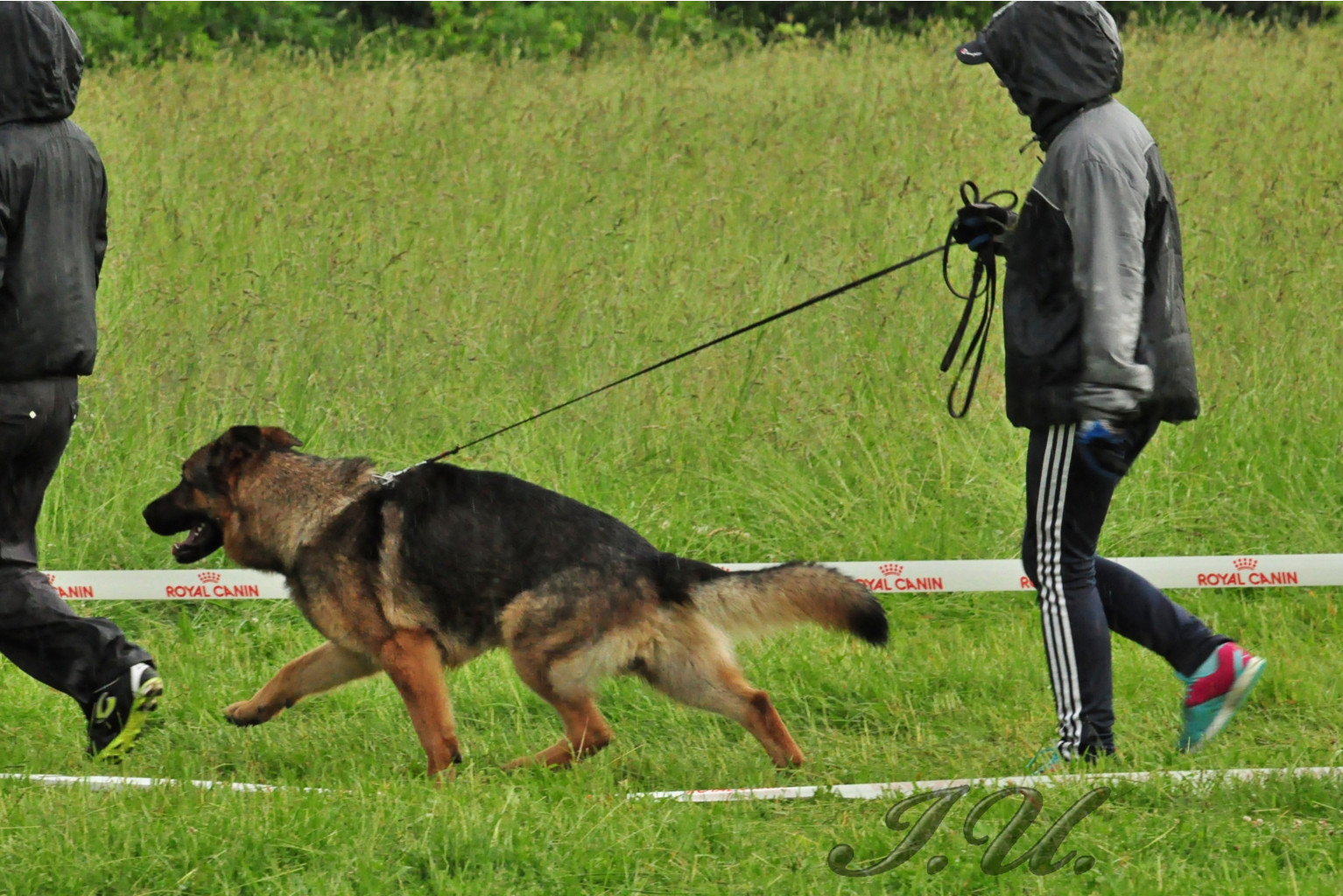 DSC_0827.JPG