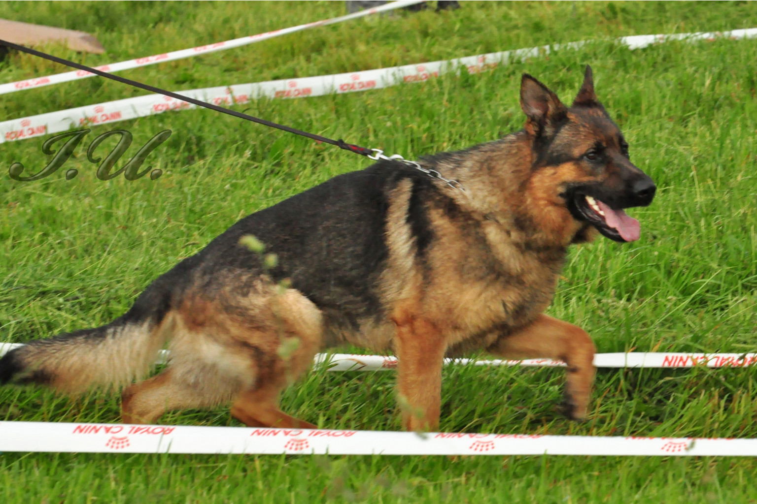 DSC_0849.JPG