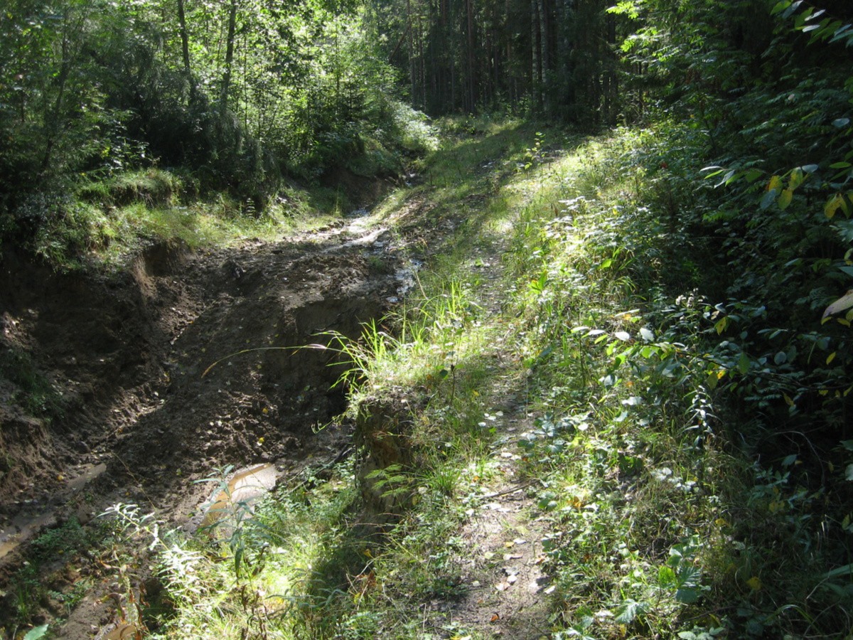 IMG_0085.JPG