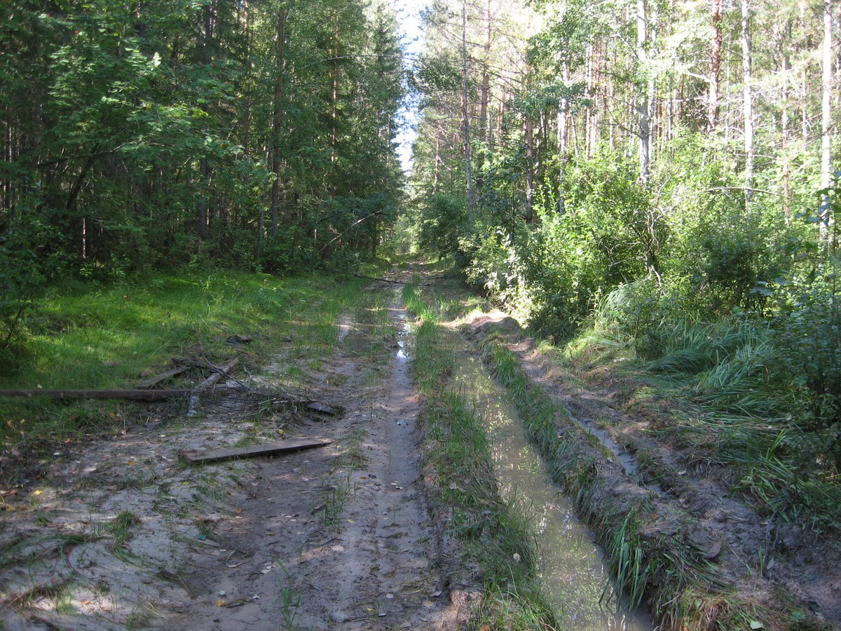 IMG_0078.JPG
