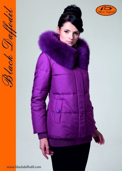 12136 BlackDaffodil   3100,00