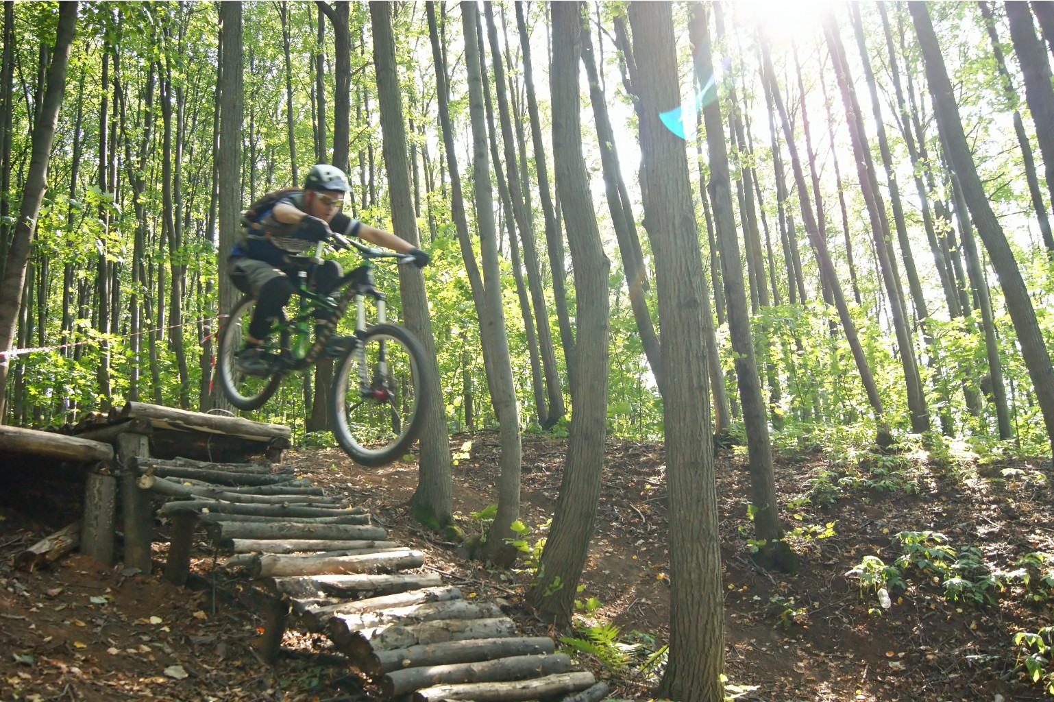 DSC01296 modified.jpg