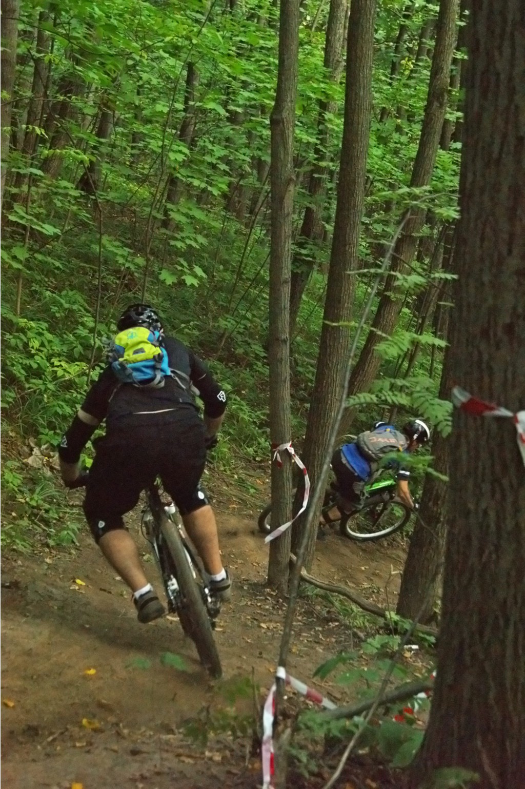 DSC01312 modified.jpg