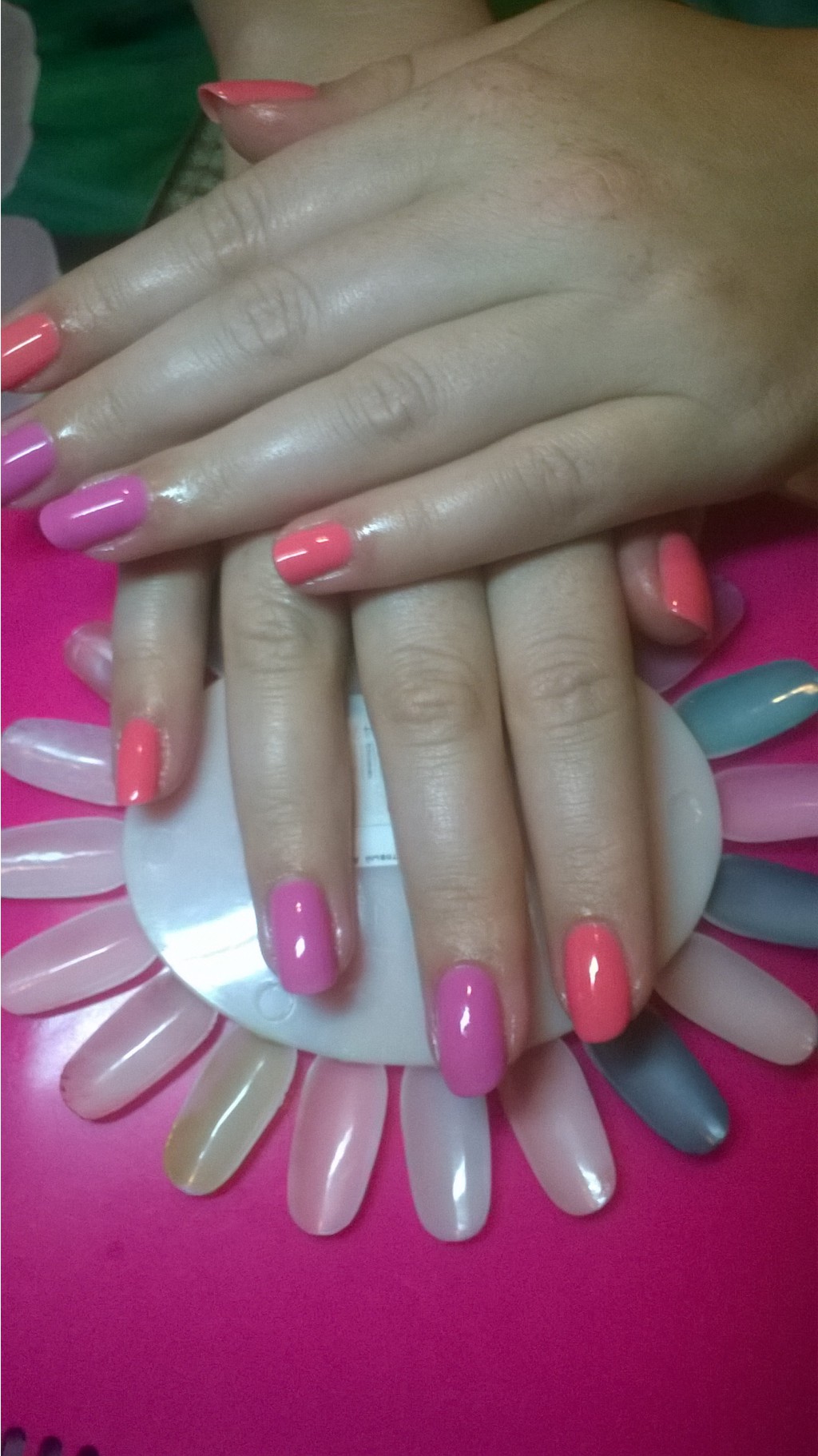 WP_20140819_002.jpg