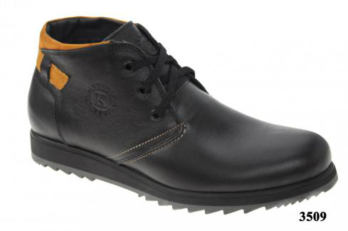 1450.,  39-44, .3509.jpg