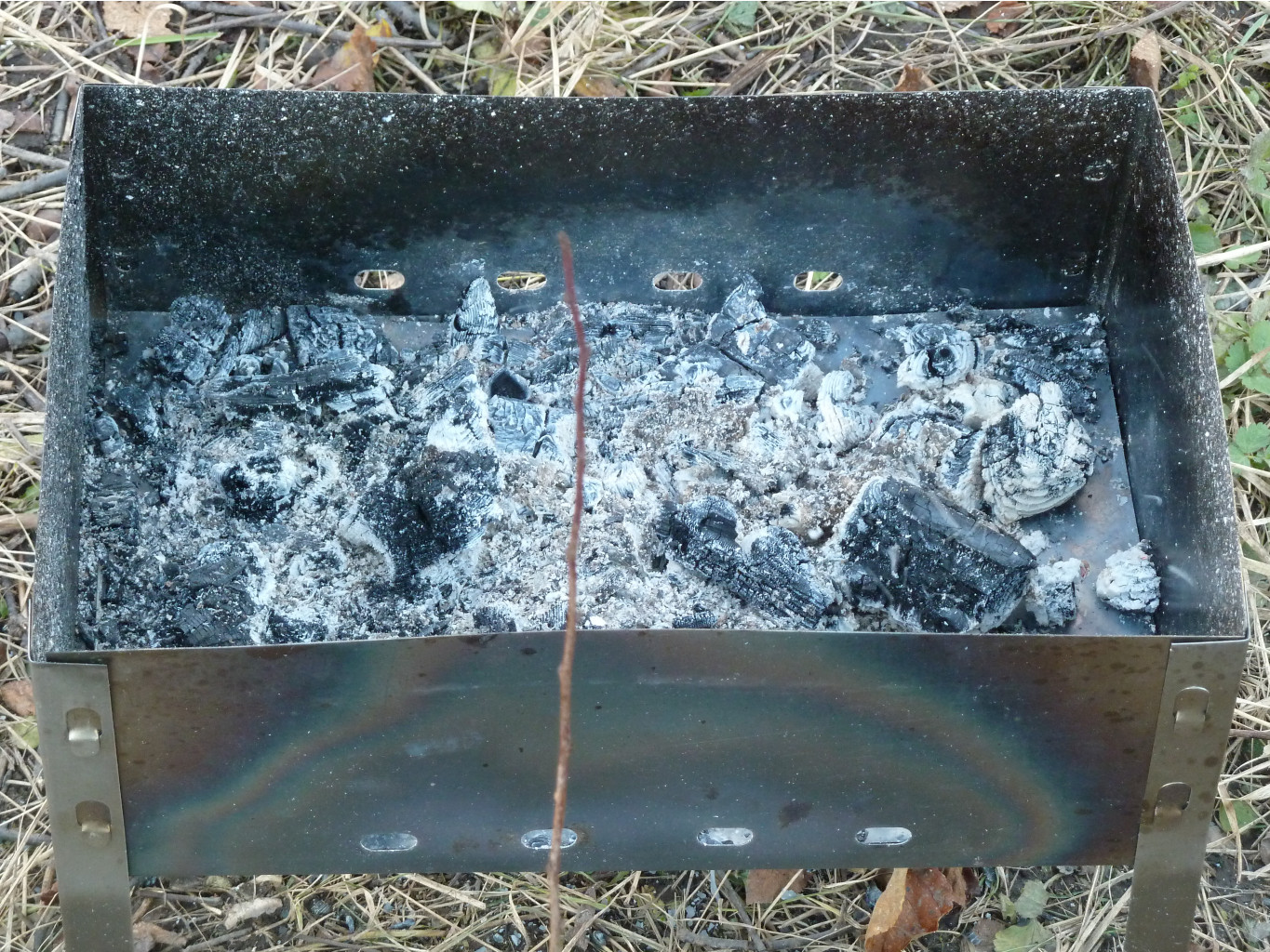P1050931.JPG