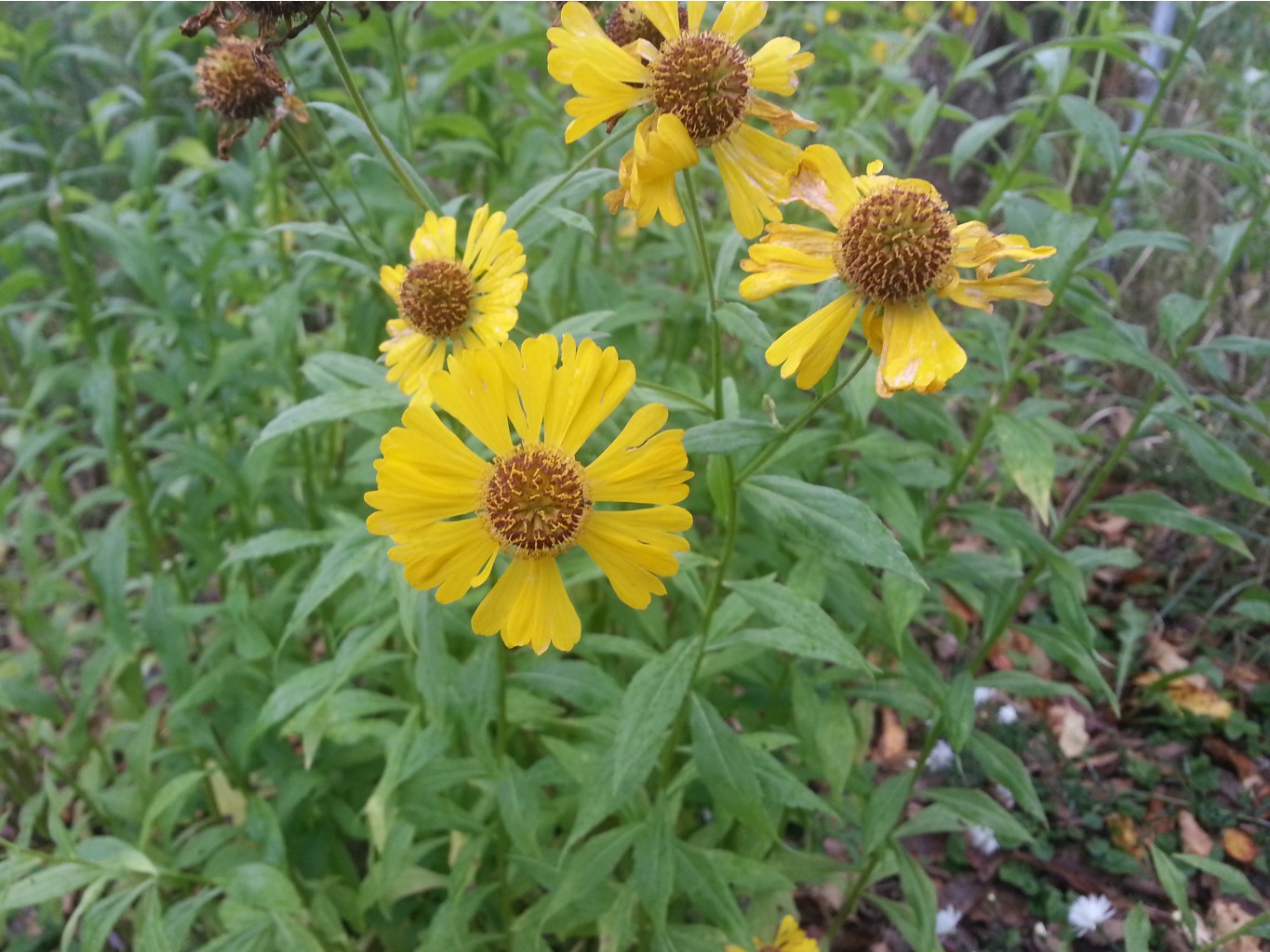 20130928_132453.jpg
