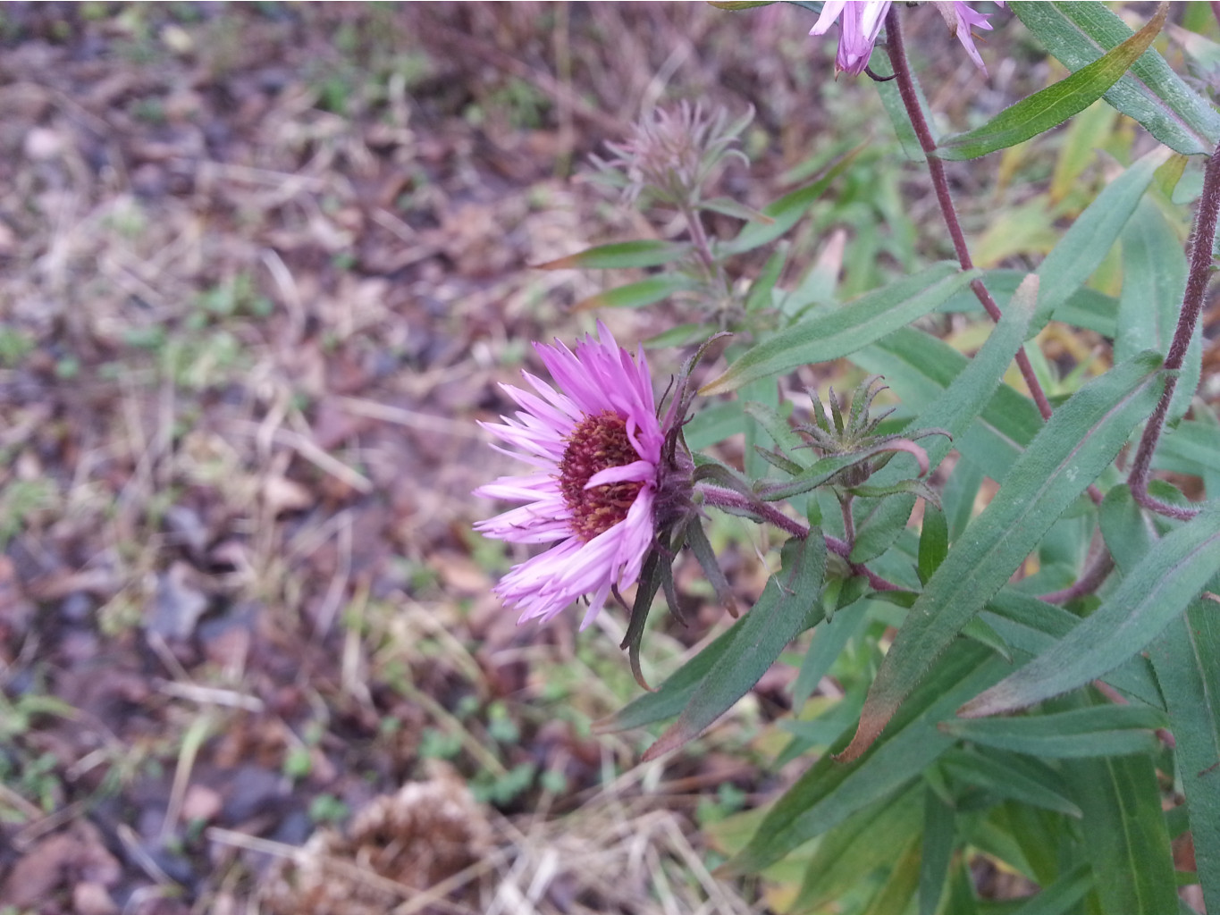 20131117_134649.jpg