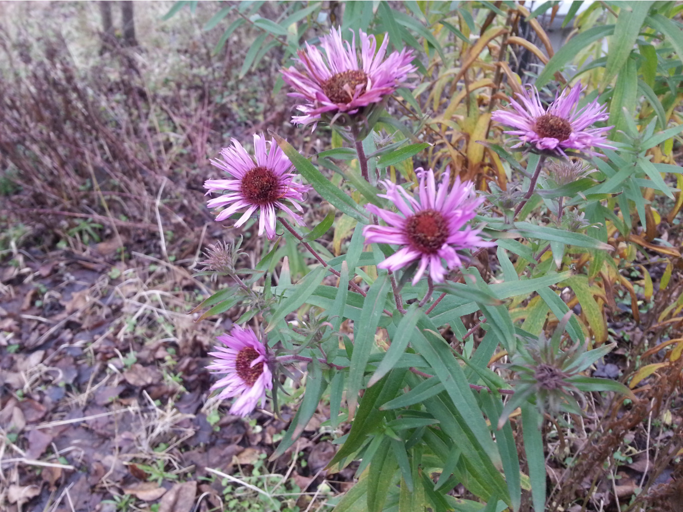 20131117_134734.jpg