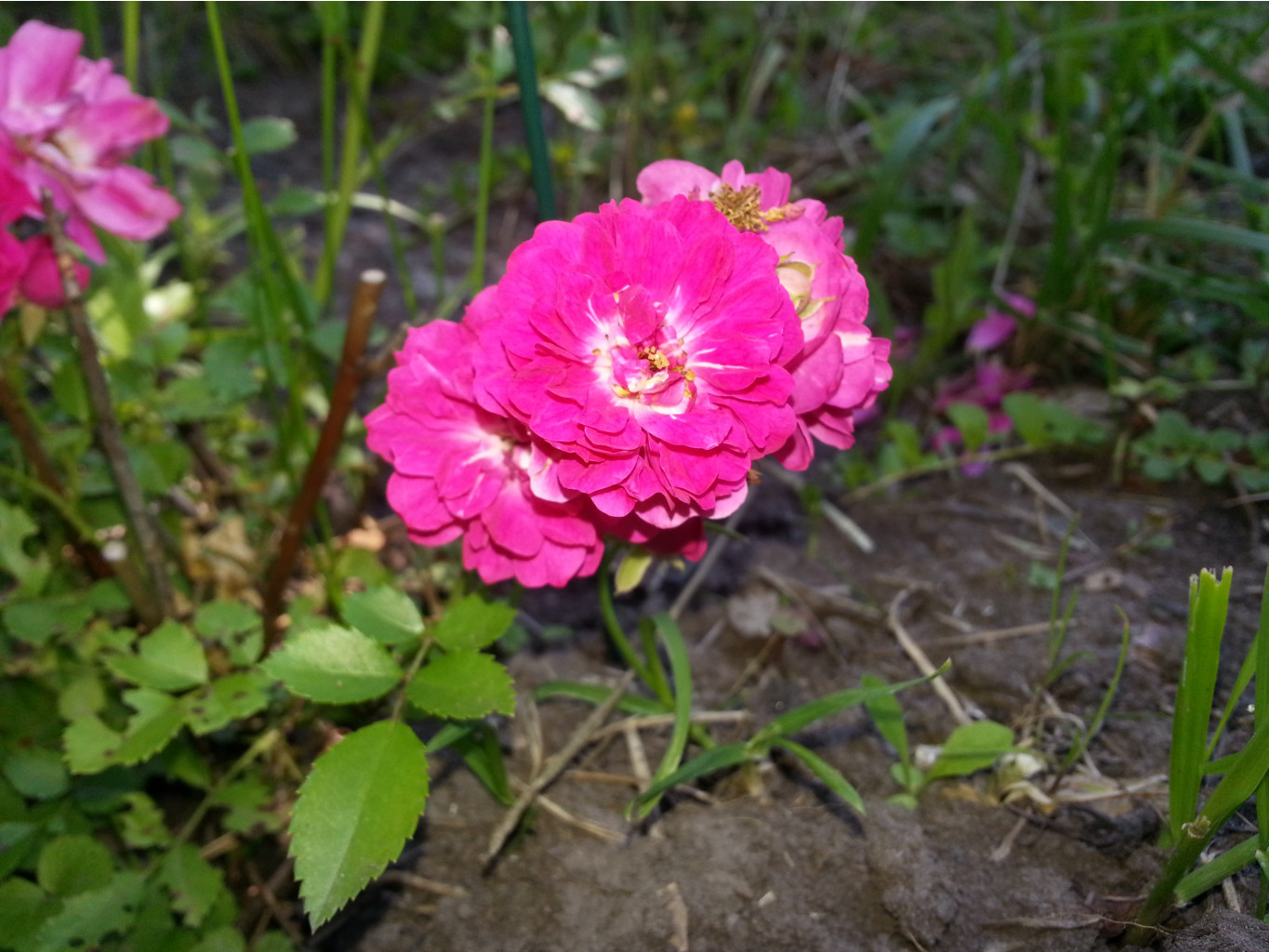 20140715_110148.jpg