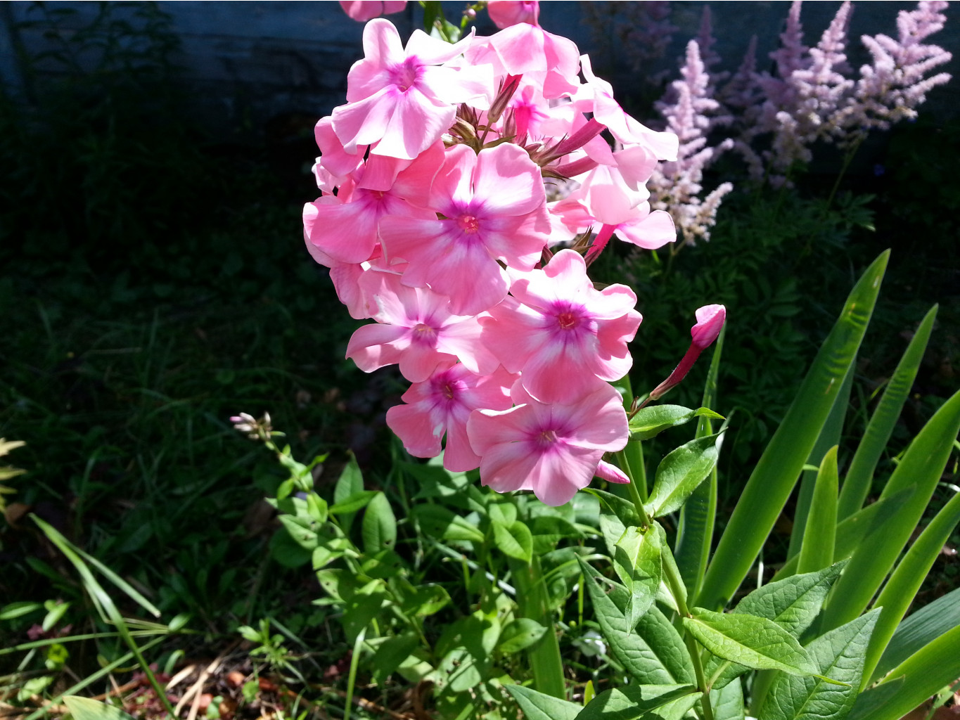 20140728_131940.jpg