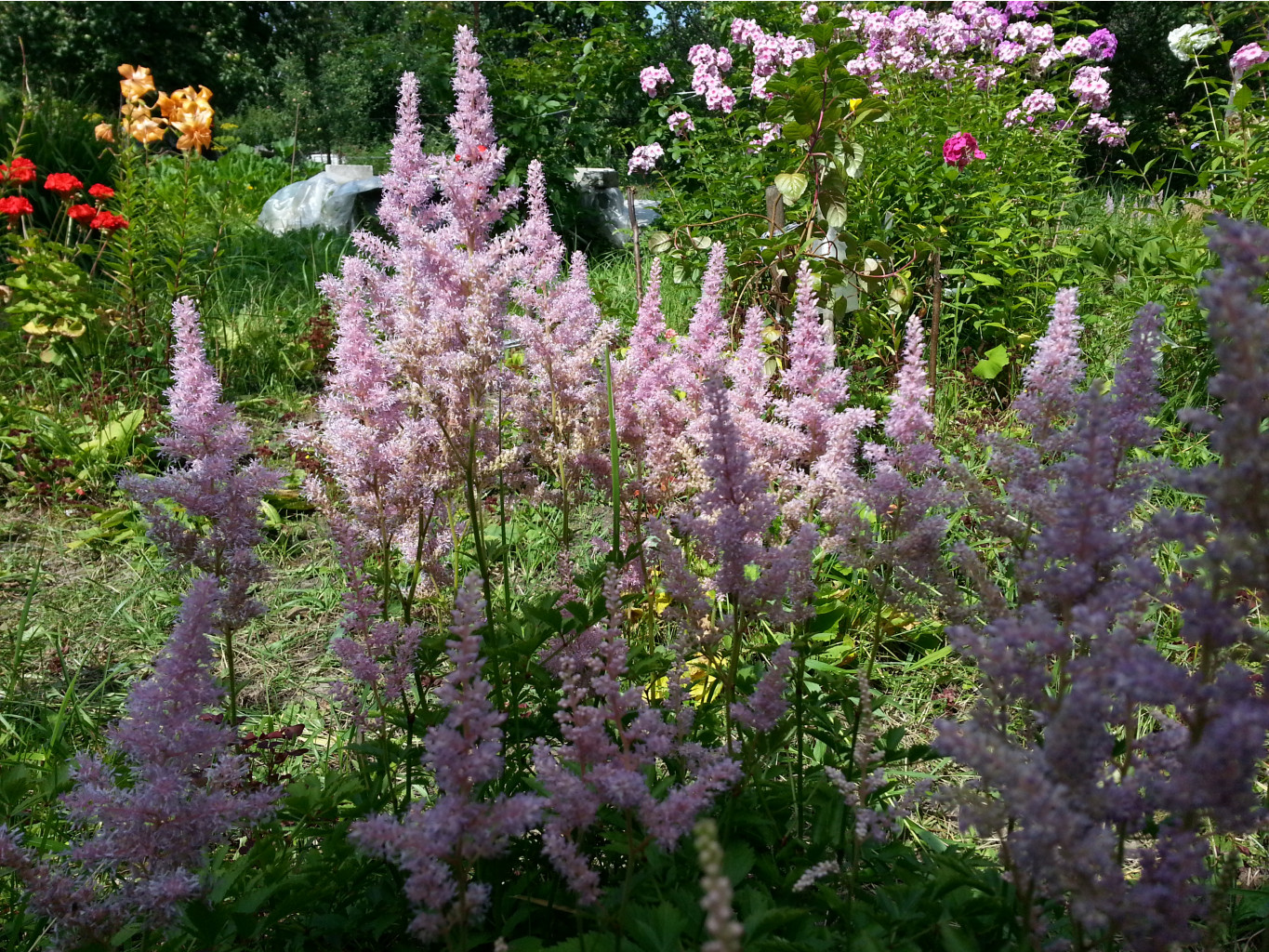 20140728_132446.jpg