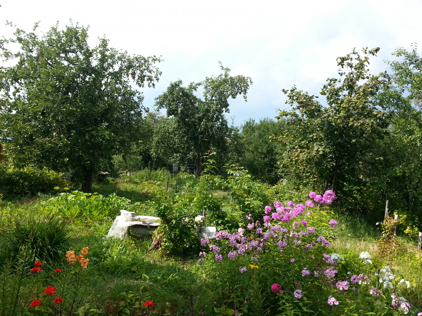 20140729_152246.jpg