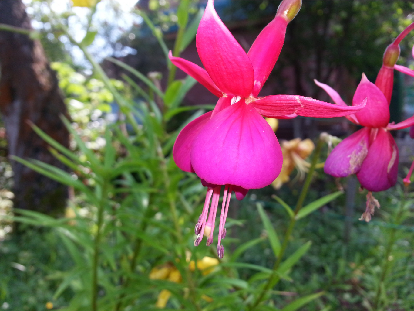 20140731_150314.jpg