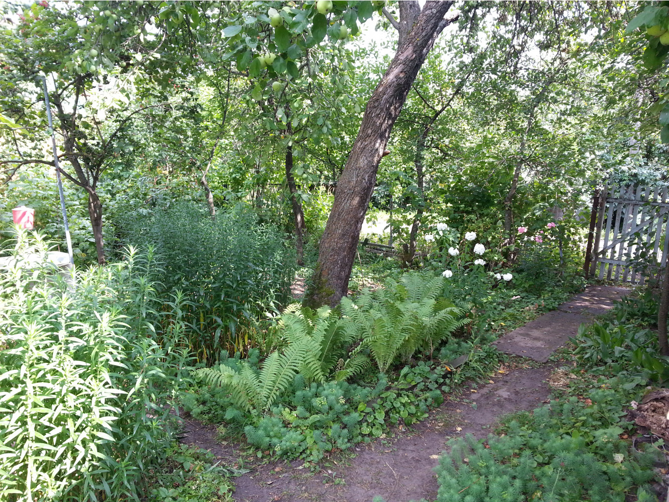 20140729_152754.jpg