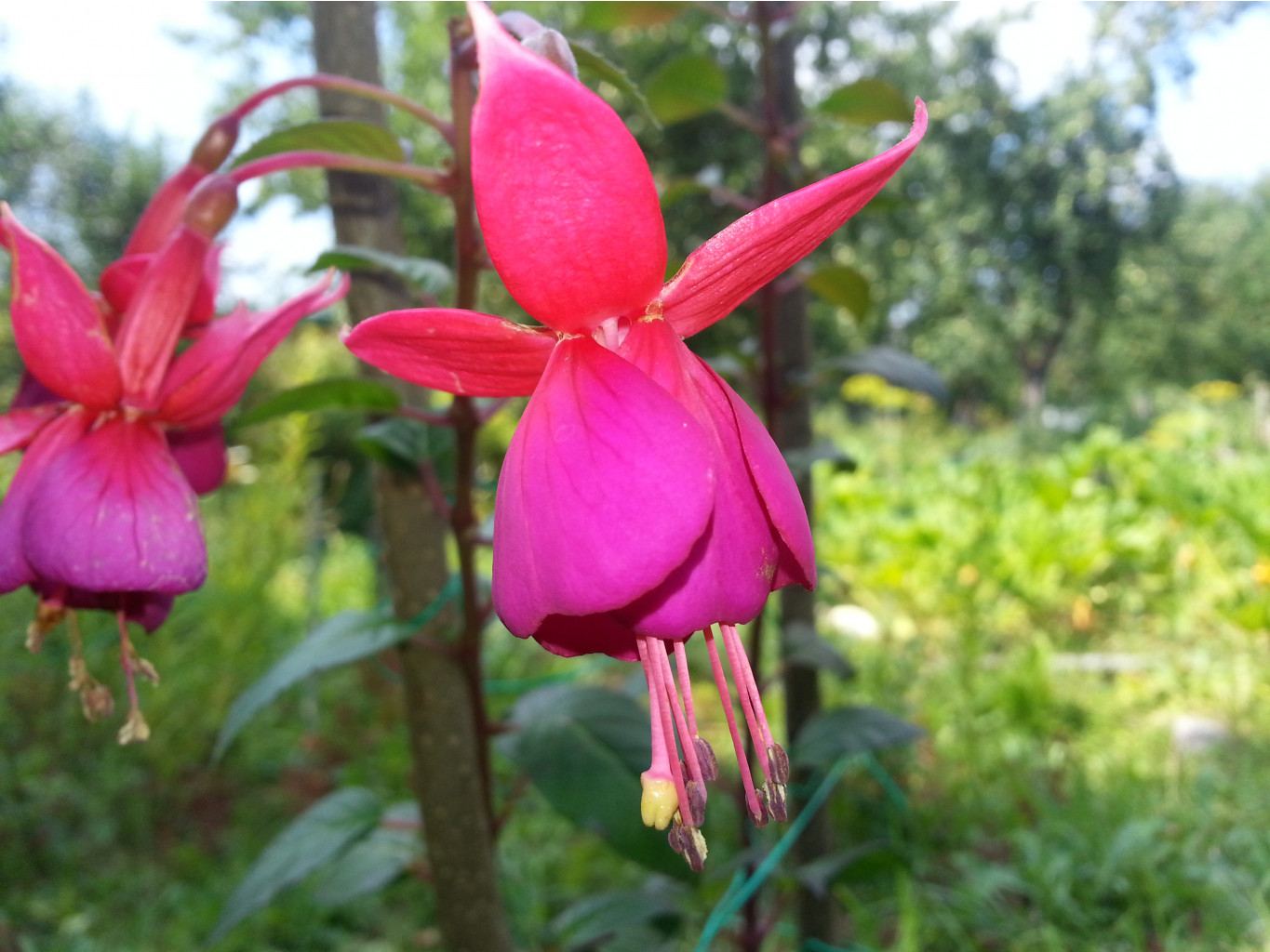 20140731_150622.jpg