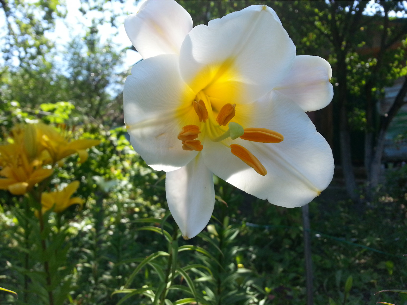 20140714_140336.jpg