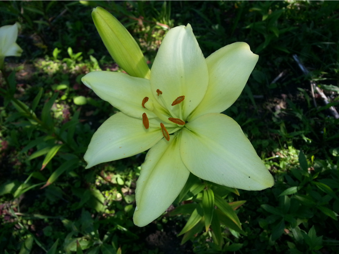 20140714_140424.jpg