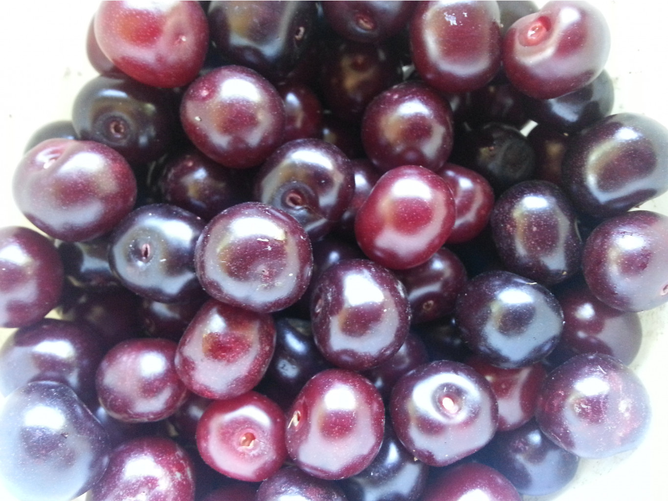 20140704_135609.jpg