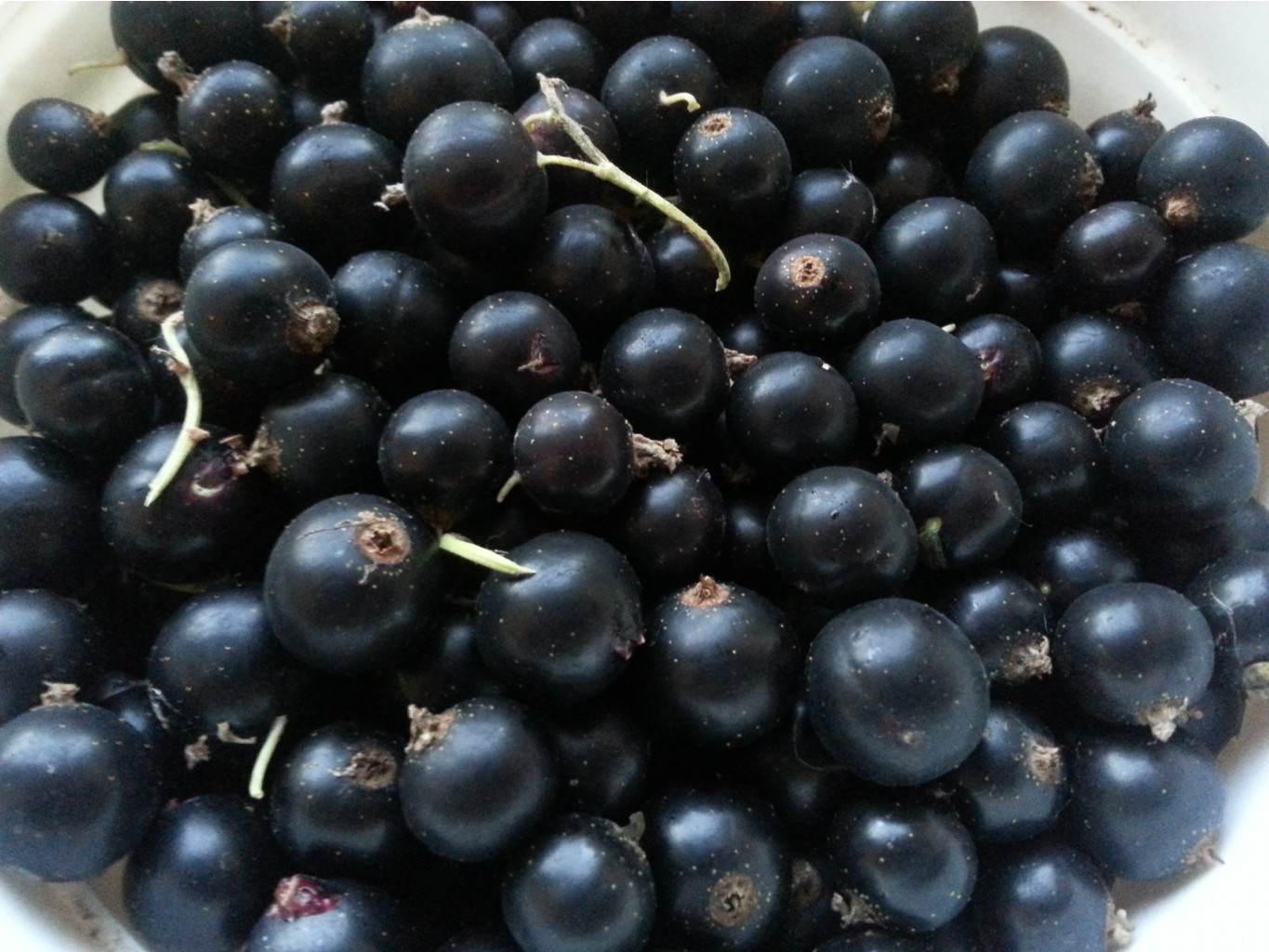 20140707_213501.jpg