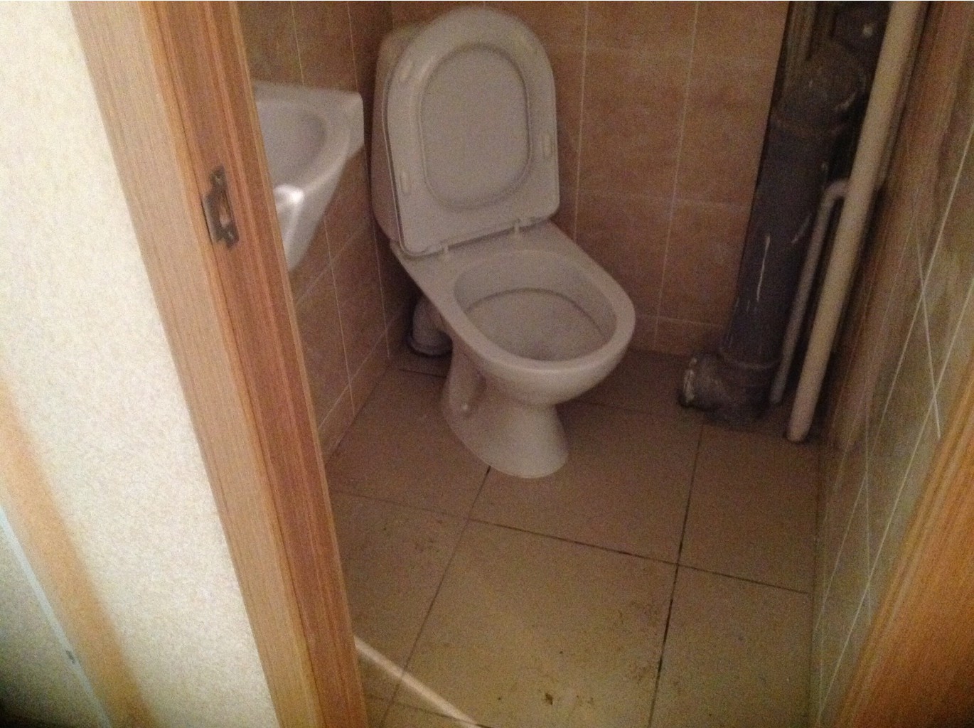 image.jpg