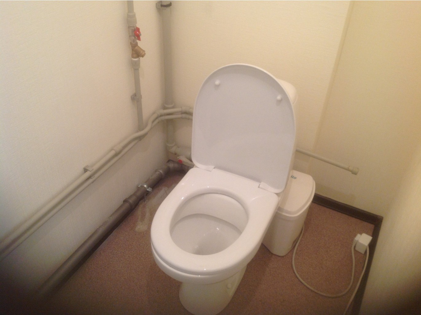 image.jpg