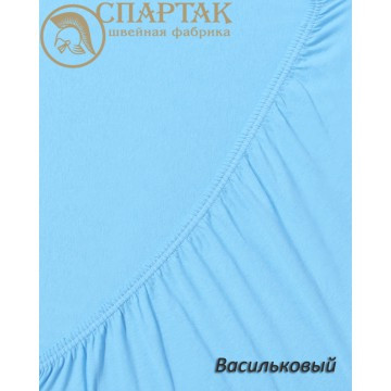 василек.jpg