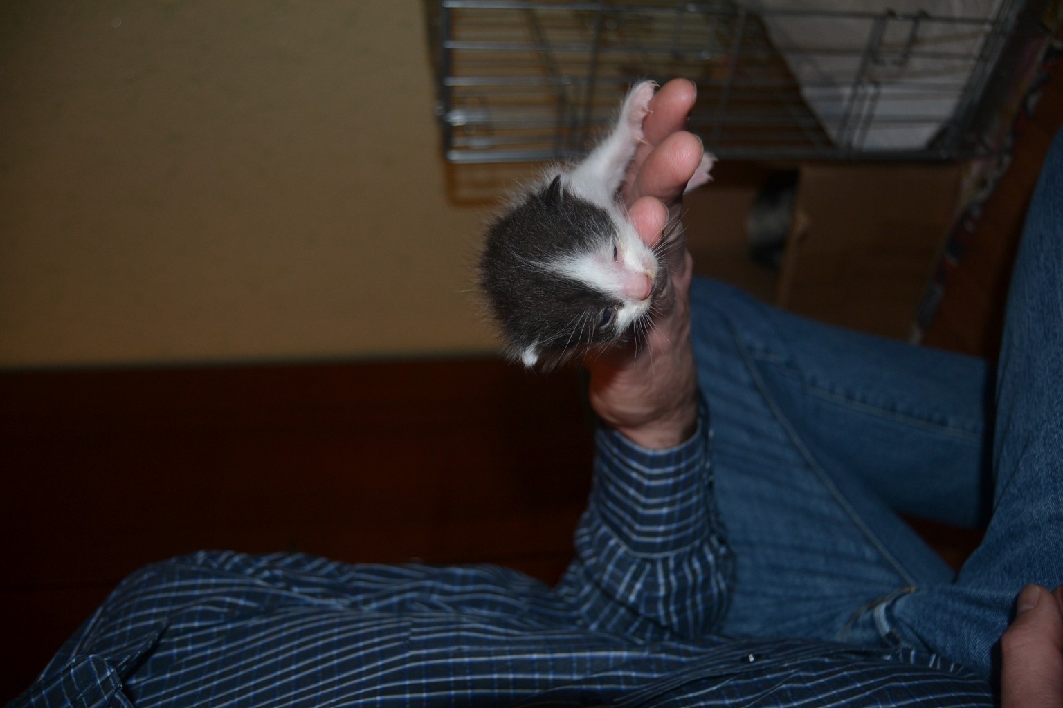 DSC_0741.JPG