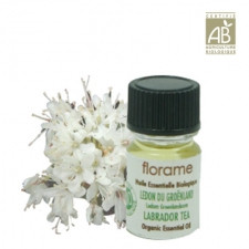 586_ .  , 2. FLORAME