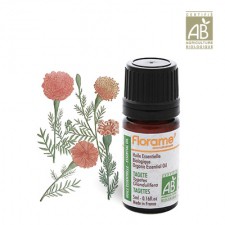 586_.   5. FLORAME