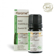 1481_ .  , 5.FLORAME