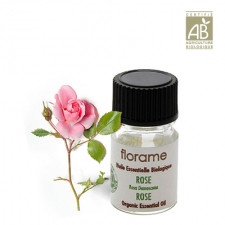 533_.  , 1. FLORAME