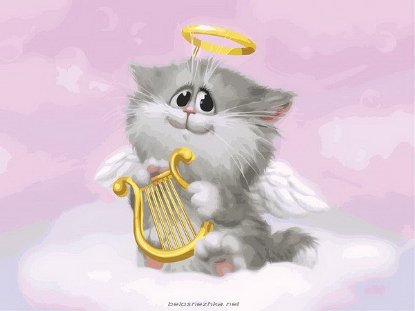 744-АС. Котенок-ангелочек.jpg