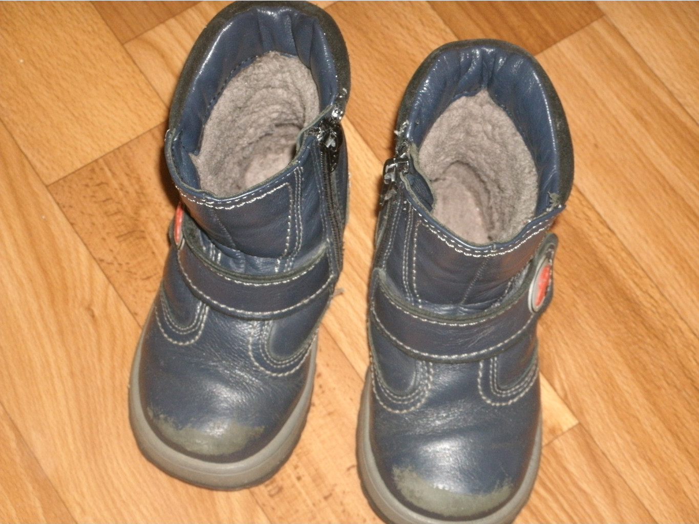 GEDC0184.JPG