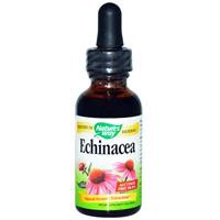 Nature's Way, Echinacea, Alcohol Free 99.9%, 1 fl oz (30 ml)