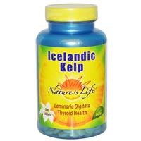 Nature's Life, Icelandic Kelp, 500 Tablets