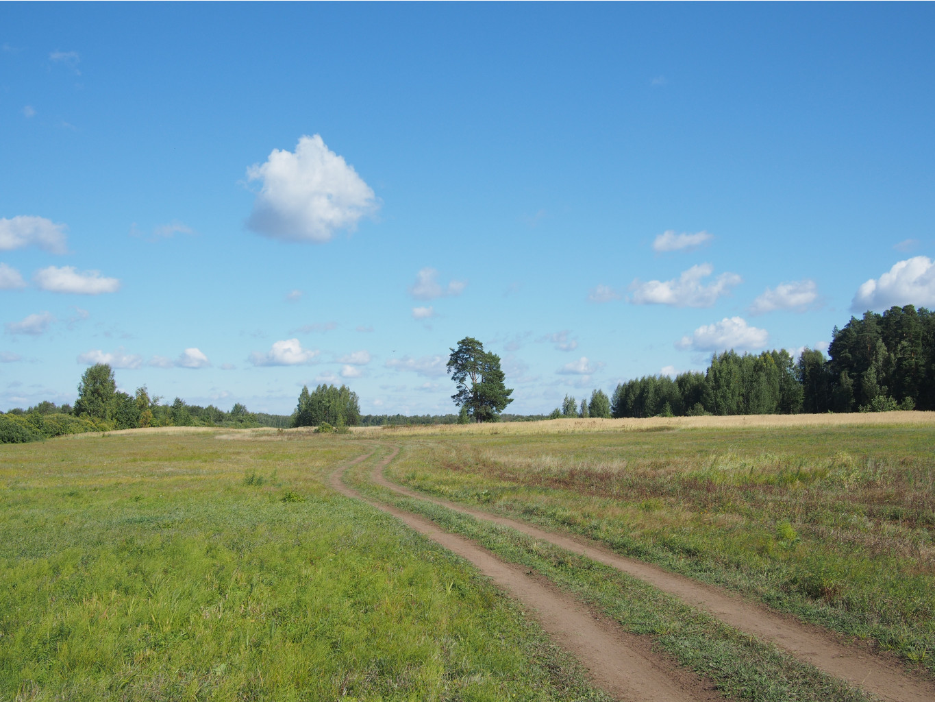 P9061144.JPG