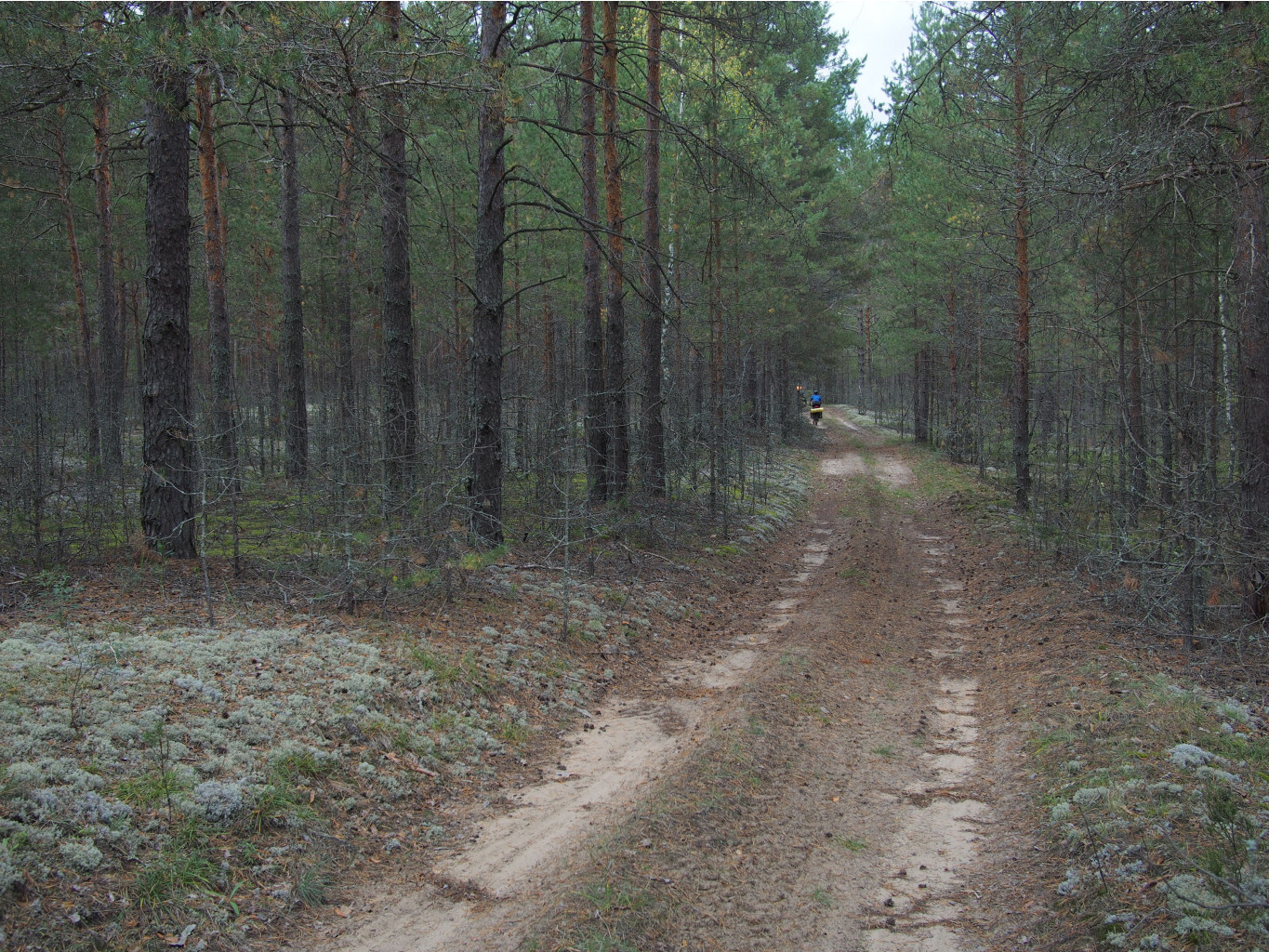 P9061152.JPG