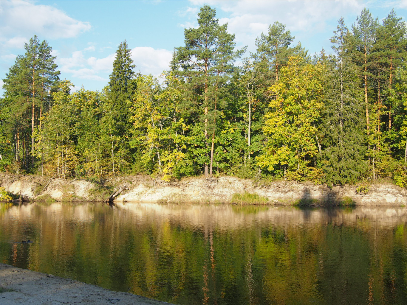 P9071175.JPG