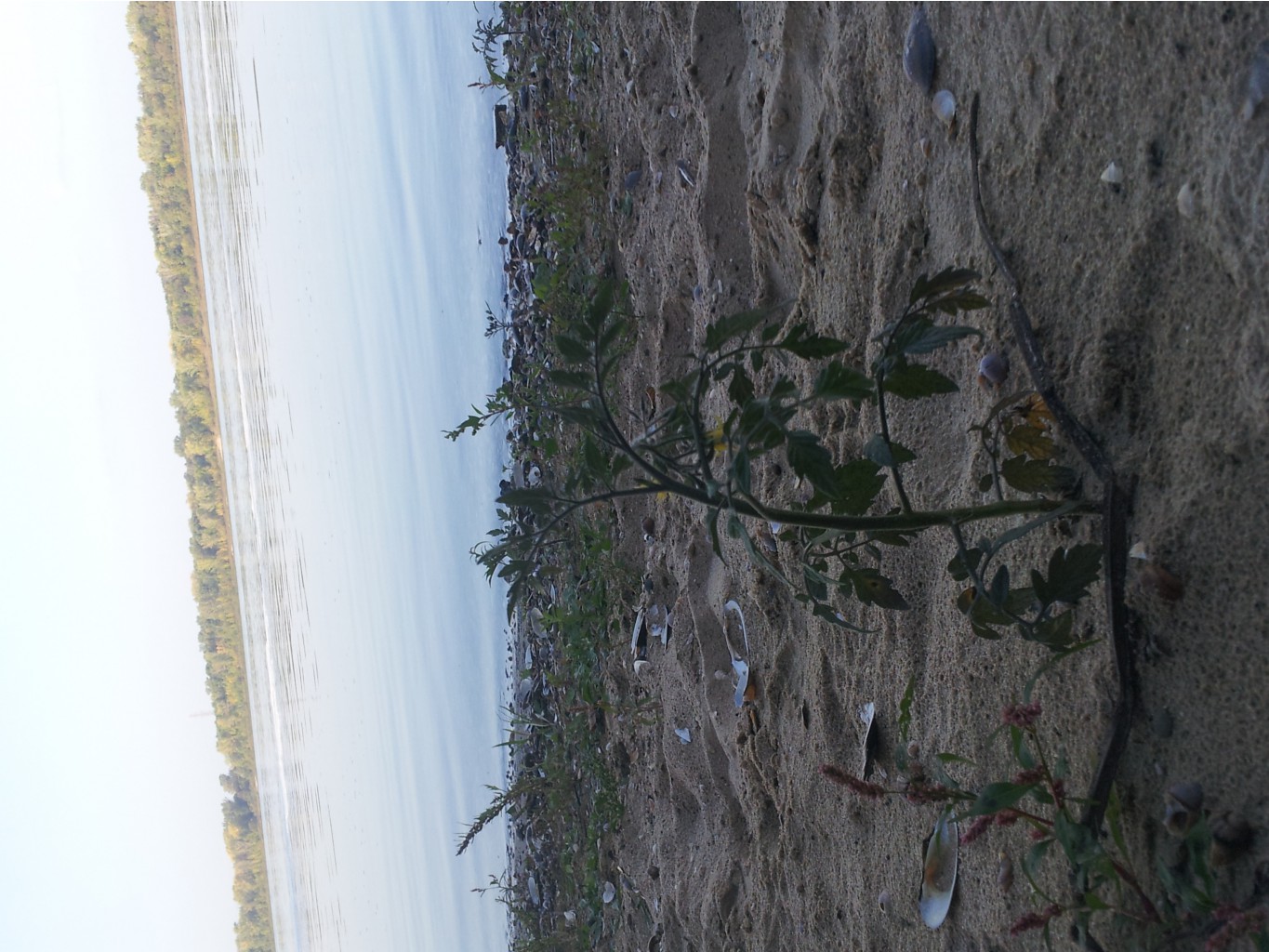 20140911_174552.jpg