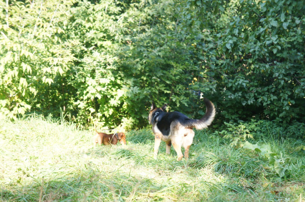 DSC05843.JPG