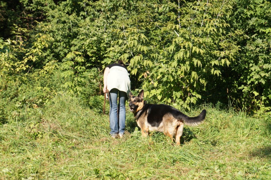 DSC05854.JPG