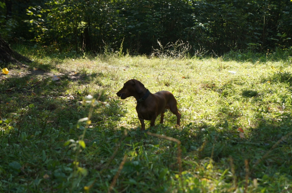 DSC04975.JPG