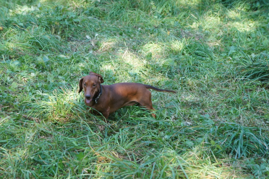 DSC05049.JPG