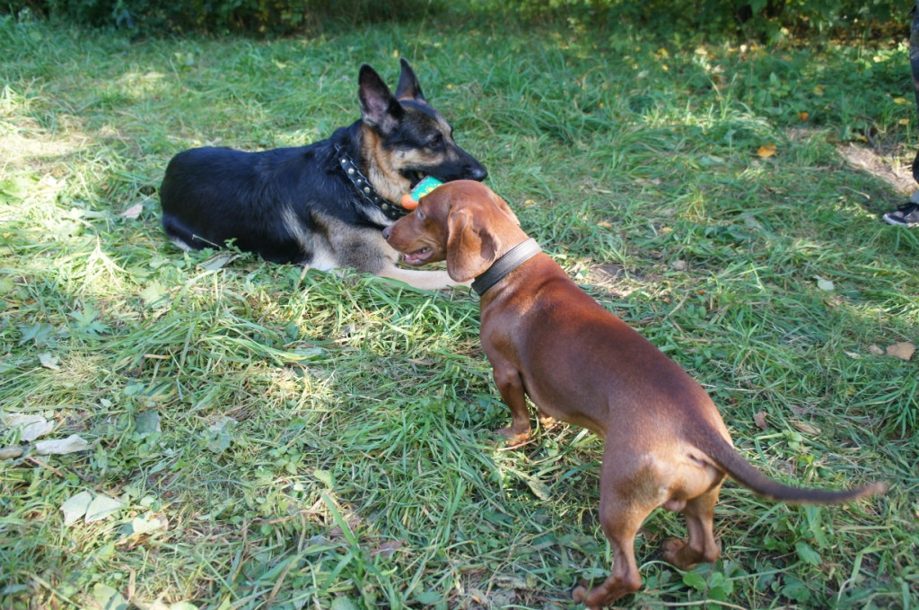 DSC05762.JPG